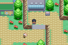 Pokemon Genesis GBA ROM Hacks 