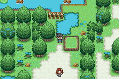 Pokemon Dark Blue GBA ROM Hacks 