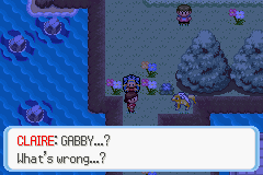 Pokemon Ruby Destiny - Life of Guardians GBA ROM Hacks 