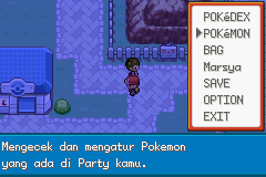Pokemon Nusantara GBA ROM Hacks 