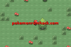 Pokemon Maia Version GBA ROM Hacks 