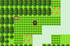 Pokemon Eruption GBA ROM Hacks 