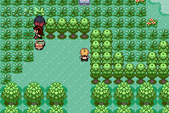 Pokemon Ambar GBA ROM Hacks 