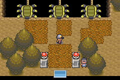 pokemon dark cry gba rom