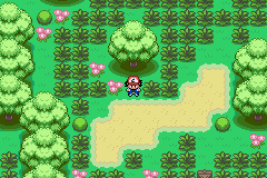 pokemon advanced adventure gba rom