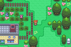 pokemon advanced adventure gba rom download