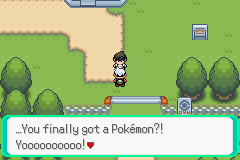 pokemon hyetology gba rom