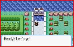 pokemon screenshots