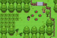 Pokemon Cyan GBA ROM Hacks 