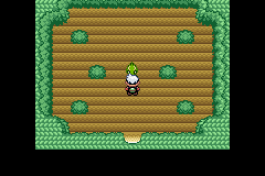 Pokemon Elegant Emerald GBA ROM Hacks 