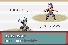 Pokemon Expert Emerald GBA ROM Hacks 