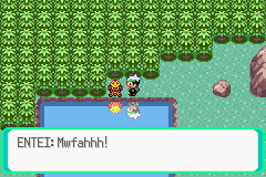 Pokemon Expert Emerald GBA ROM Hacks 