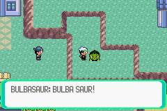 Pokemon Expert Emerald GBA ROM Hacks 