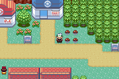 Pokemon Expert Emerald GBA ROM Hacks 