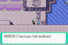 Pokemon Expert Emerald GBA ROM Hacks 