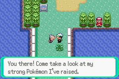 Pokemon Expert Emerald GBA ROM Hacks 