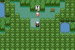 Pokemon Expert Emerald GBA ROM Hacks 