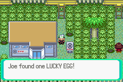 Pokemon Expert Emerald GBA ROM Hacks 