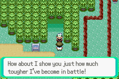 pokemon emerald 386 rom download for android