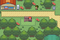 Pokemon Final Red GBA ROM Hacks 