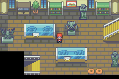 Pokemon Final Red GBA ROM Hacks 