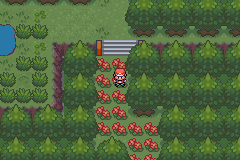 Pokemon Final Red GBA ROM Hacks 