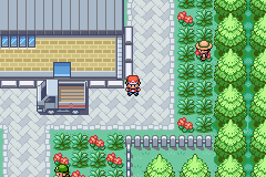 Pokemon Fire Red: Backwards Edition GBA ROM Hacks 