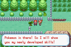 Pokemon Fire Red: Generations GBA ROM Hacks 