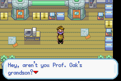 Pokemon Gary's Mod GBA ROM Hacks 