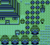 Pokemon Grape GBC ROM Hacks 