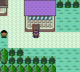 Pokemon Ice Silver GBC ROM Hacks 