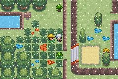 Pokemon Legendary Ashes GBA ROM Hacks 