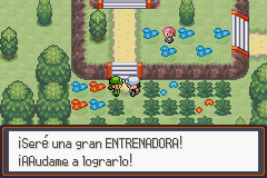 Pokemon Legendary Ashes GBA ROM Hacks 