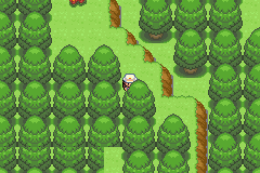 Pokemon Luria GBA ROM Hacks 