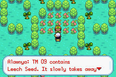 Pokemon Rose GBA ROM Hacks 