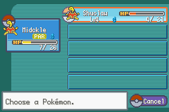 Pokemon Shuckle GBA ROM Hacks 