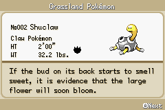 Pokemon Shuckle GBA ROM Hacks 