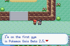 Pokemon Sky Twilight GBA ROM Hacks 