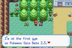 Pokemon Sky Twilight GBA ROM Hacks 