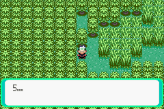 Pokemon Summer Splash GBA ROM Hacks 