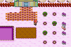 Pokemon Sweet GBA ROM Hacks 