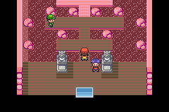 pokemon sweet version 2nd gym