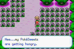 pokemon sweet version walkthrough