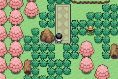 Pokemon Valen GBA ROM Hacks 