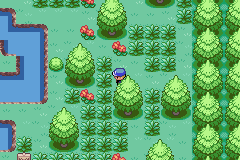 Pokemon Warped GBA ROM Hacks 