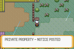 Pokemon Citrite GBA ROM Hacks 