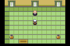 Pokemon Citrite GBA ROM Hacks 