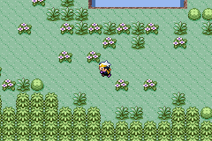 Pokemon Citrite GBA ROM Hacks 