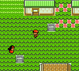 Pokemon Crystal Redesign And World GBC ROM Hacks 