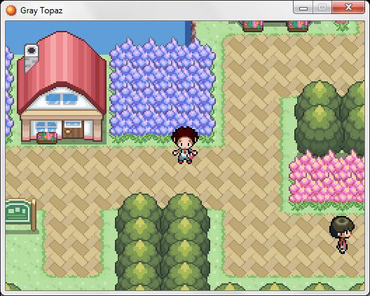 Pokemon Gray Topaz RMXP Hacks 